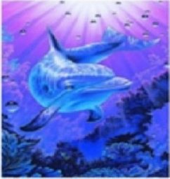  Norimpex Malowanie Po Numerach Delfin W Głebinach 50x40