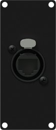 Caymon CAYMON CASY167/B Panel CASY z przejściem: etherCON – RJ45, 1-modułowy, wersja czarna