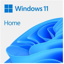 System operacyjny Microsoft Windows Home 11 64-bit Slovak USB