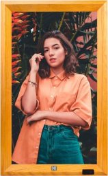 Kodak WF238V WiFi wooden brown