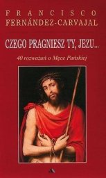  AA Czego pragniesz Ty, Jezu...40 rozważań..