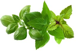 Click And Grow Click And Grow Click & Grow Plant Pod Basil Variety Mix 9 vnt