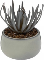 Atmosphera Sztuczny sukulent w doniczce CAF, wys. 18 cm