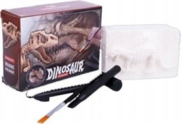 Figurka Norimpex *****Skamielina z dinozaurem 12/opak 1006911 69115