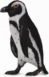 Figurka Collecta Pingwin przylądkowy