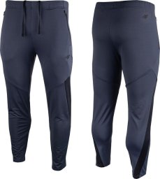 4f Spodnie męskie 4F FNK M351 szare 4FAW23TFTRM351 23S 2XL