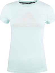 Adidas Koszulka dla dzieci adidas Essentials Big Logo Cotton Tee miętowa IM0279 164cm