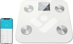  TrueLife TrueLife FitScale W6 BT