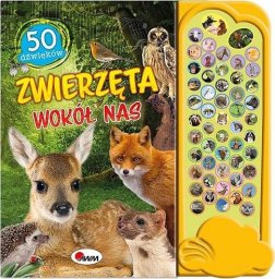 Morex 50 Dźwięków Zwierzęta wokół nas 58.11.1. 12160