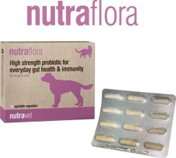 Nutravet NUTRAVET Nutraflora For Dogs & Cats 12kaps - Probiotyk o wysokiej sile wspomagający codzienne zdrowie jelit i odporności