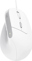 Mysz Trust Bayo II biała (25397)
