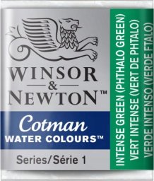 Winsor & Newton Cotman watercolour 1/2 pan Intense Green 329