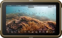 Atomos Atomos Ninja - monitor poglądowy HD 8s, 4K 2s