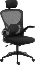  Sandberg ErgoFusion Gaming Chair Basic