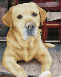 DIAMOND DOTZ Haft diamentowy Diamond Dotz Diamentowa mozaika Labrador King 48x58cm DQ10027