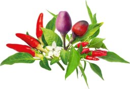 Click And Grow Click & Grow Plant Pod Chilli Pepper Mix 9pcs