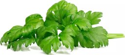 Click And Grow Click & Grow Smart Garden Refill Leaf Celery 3pcs