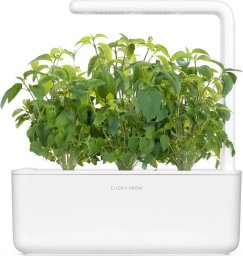 Click And Grow Click & Grow Smart Garden refill Thai Basil 3pcs