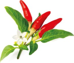 Click And Grow Click & Grow Smart Garden refill Red Hot Chili Pepper 3pcs