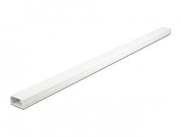 Organizer Delock Delock Kabelkanal mit Deckel 26 x 13 mm - Lange 1 m weiss