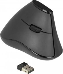 Mysz Delock Delock Ergonomische vertikal optische 5-Tasten Maus 2,4 GHz kabellos - Lautlos