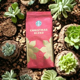 Kawa ziarnista Starbucks Starbucks Christmas Blend arabika kawa ziarnista