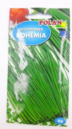 Polan PLATINET NASIONA SZCZYPIOREK OGRODOWY BOHEMIA CHIVE SEEDS 2 G