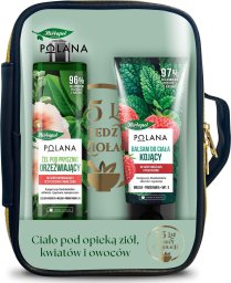 Herbapol HERBAPOL Zestaw do ciała w kosmetyczce (żel + balsam)