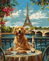 Norimpex Malowanie po numerach - Retriever w Paryżu 40x50cm