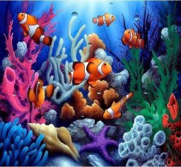 Norimpex Mozaika diamentowa 5D - Rafa 40x30cm