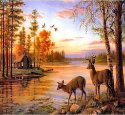 Norimpex Mozaika diamentowa 5D - Jeleń 40x30cm