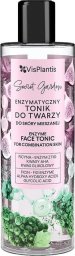  Vis Plantis Vis Plantis Secret Garden Enzymatyczny Tonik do twarzy - do skóry mieszanej 200ml