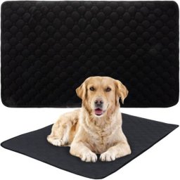 Paw Paw Love - Udendørs hundeseng (Large)