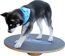  FitPAWS FitPAWS Deska równoważna, 50 cm, czarna