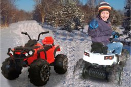 Jamara Jamara Ride-on Quad Protector 12V rot                     3+