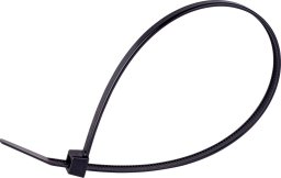 Organizer Delock Kabelbinder 245x4,6 mm (100 Stk.) schwarz