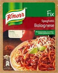  KNORR Knorr Fix Spaghetti Bolognese 44 g