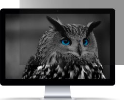 Filtr Natec prywatyzujący RODO OWL 17.3" 16:9 (NFP-2288)