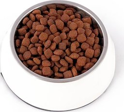 Pupil Premium Karma sucha dla kota PUPIL Premium bogata w kaczkę 1,6 kg