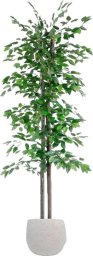 Home ESPRIT Drzewo Home ESPRIT Poliester Drewno 80 x 80 x 180 cm