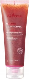 Isntree Isntree Real Rose Calming Mask 100ml