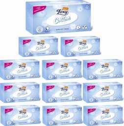 Foxy Chusteczki Higieniczne FOXY COTTON Box 90 szt. - 12 op.