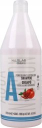 Salerm SALERM HAIRLAB Szampon do włosów POMEGRANATE HYDRATION - 1200ml + POMPKA