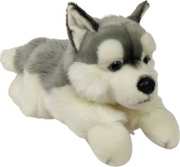 Dubi Maskotka Pies Husky Leżący Duży Pluszak 61cm Miękka Przytulanka Miś Piesek