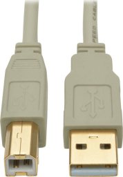 Kabel USB Tripp Lite USB-A - USB-B 1.8 m Beżowy (U022-006-BE)