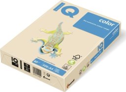 Maestro Color PAPIER MAESTRO COLOR A4/80g PASTEL KREMOWY (500) -