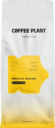 Kawa ziarnista Coffee Plant Espresso Brazylia Mogiana 1 kg 