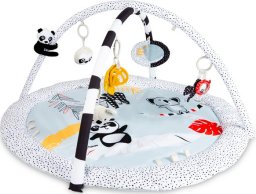 Canpol CANPOL BABIES sensory educational play mat with mirror BabiesBoo, 68/092