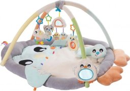 Playgro PLAYGRO Snuggle Me Penguin Tummy Time Gym, 018768178