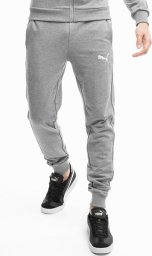 Puma Spodnie męskie Puma Team Goal Casuals szare 658598 33 S